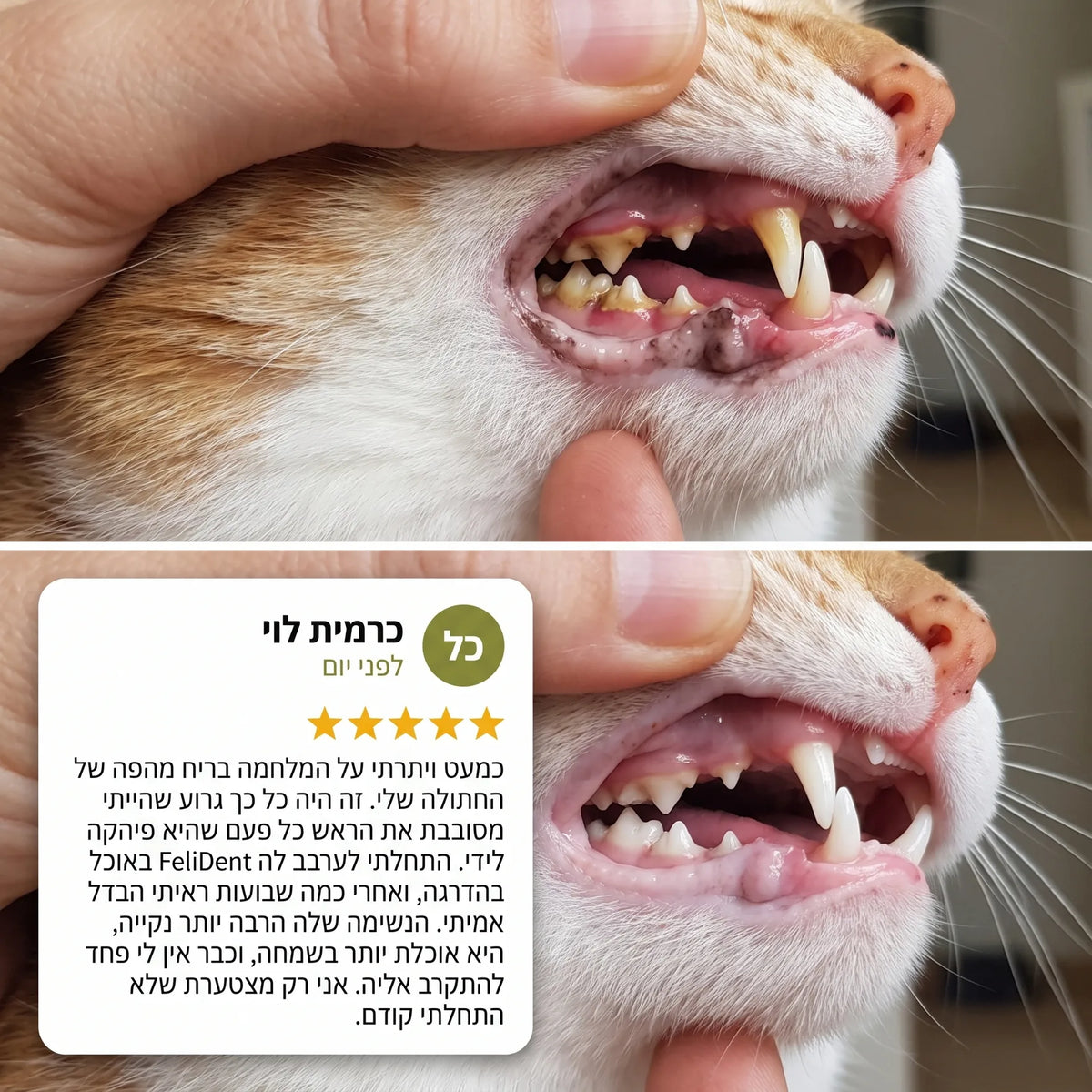 שיניים לפני ואחרי, עם ביקורת