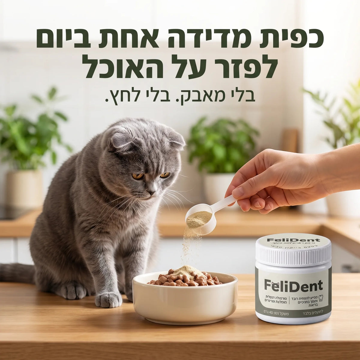 כפית מדידה אחת ביום על האוכל