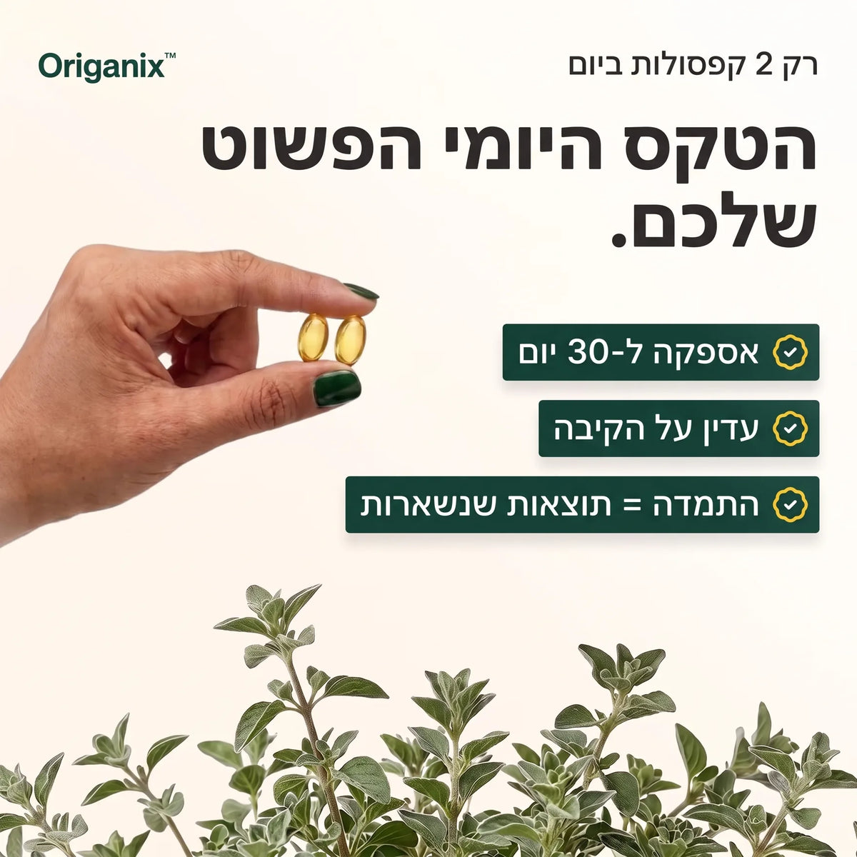 Origanix Oregano+ — תמונה 8